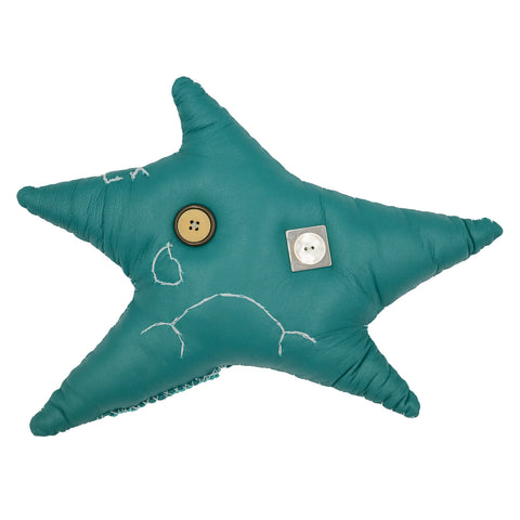 Coussin étoile